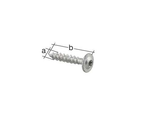 Houtschroef TX 6x30 mm RVS 4 stuks