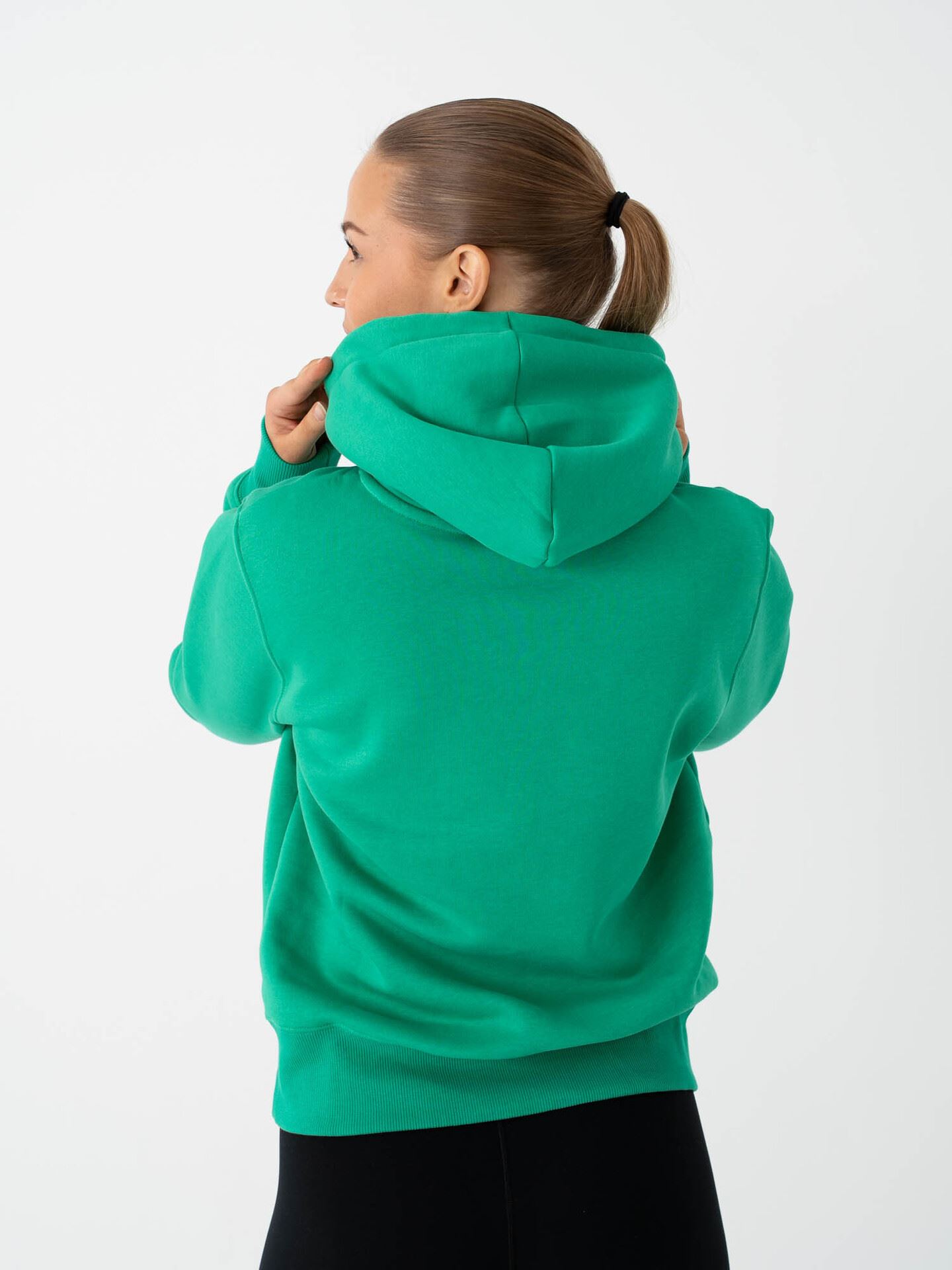 Pheonix Fleece Standard Pullover Hoodie