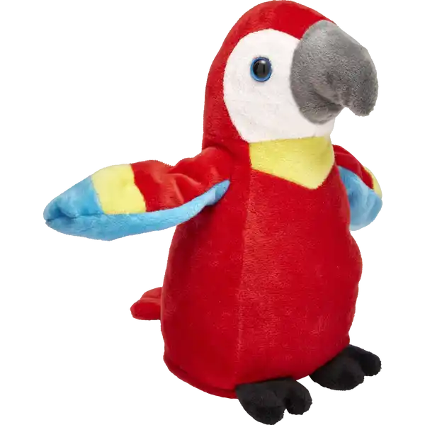 Plappertier Papagei