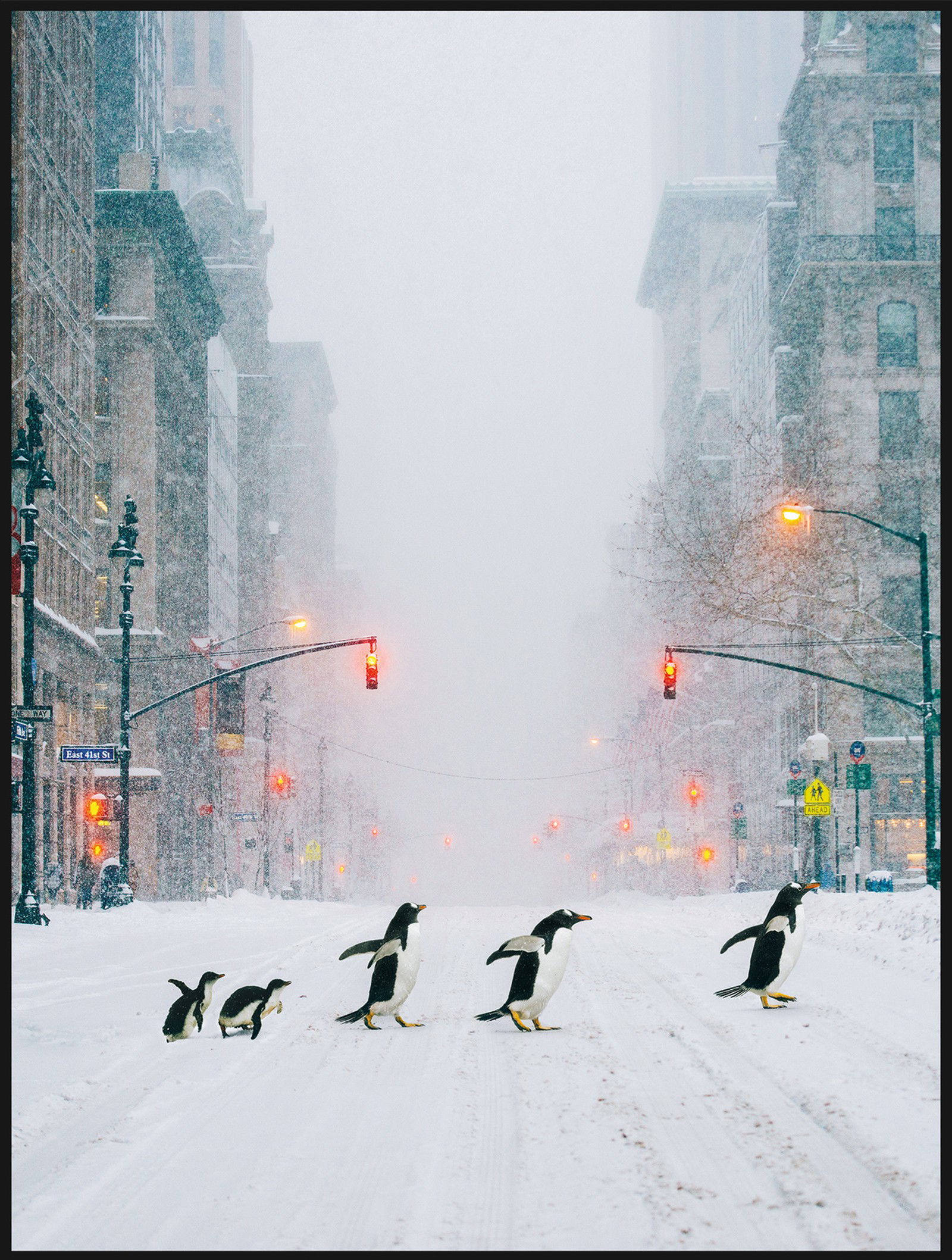 NYC Penguins by Robert Jahns - Petites - Small Open Edition.