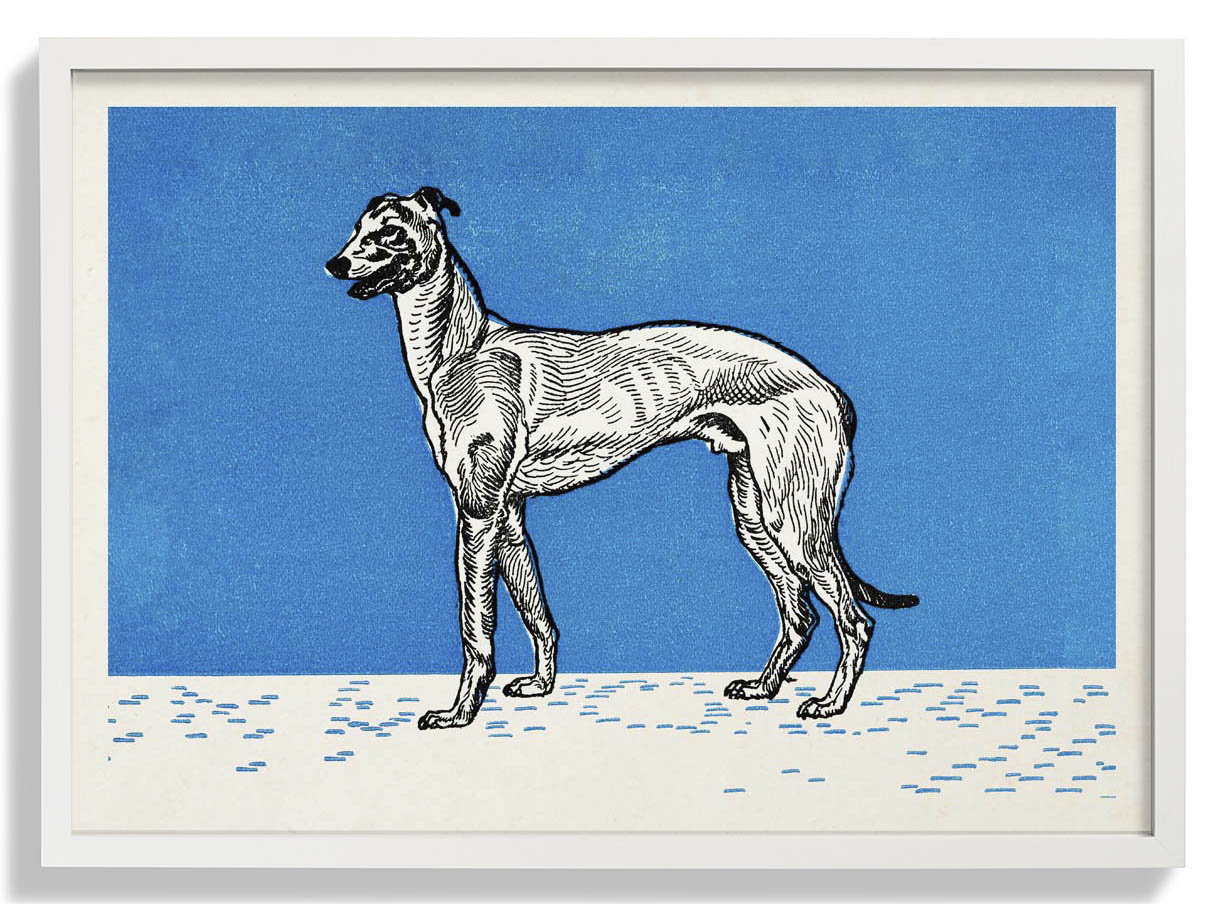 Windhund von Moritz Jung