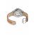 Certina DS PH200M Powermatic 80 Damenuhr C036.207.18.106.00