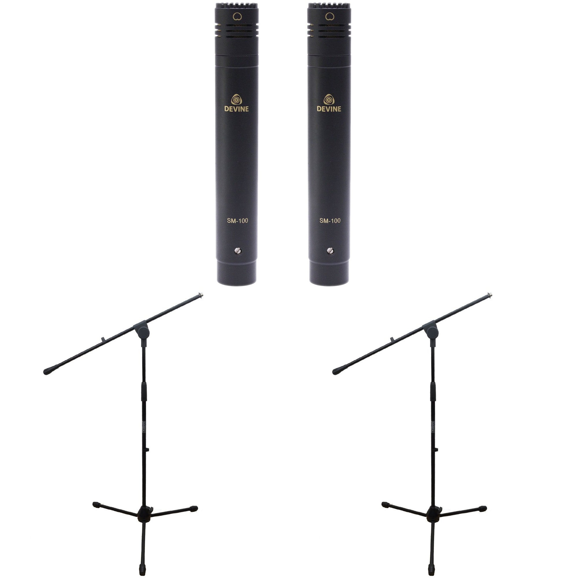 Devine SM-100 stereo + Innox IVA 12 heavy statieven (2 x)