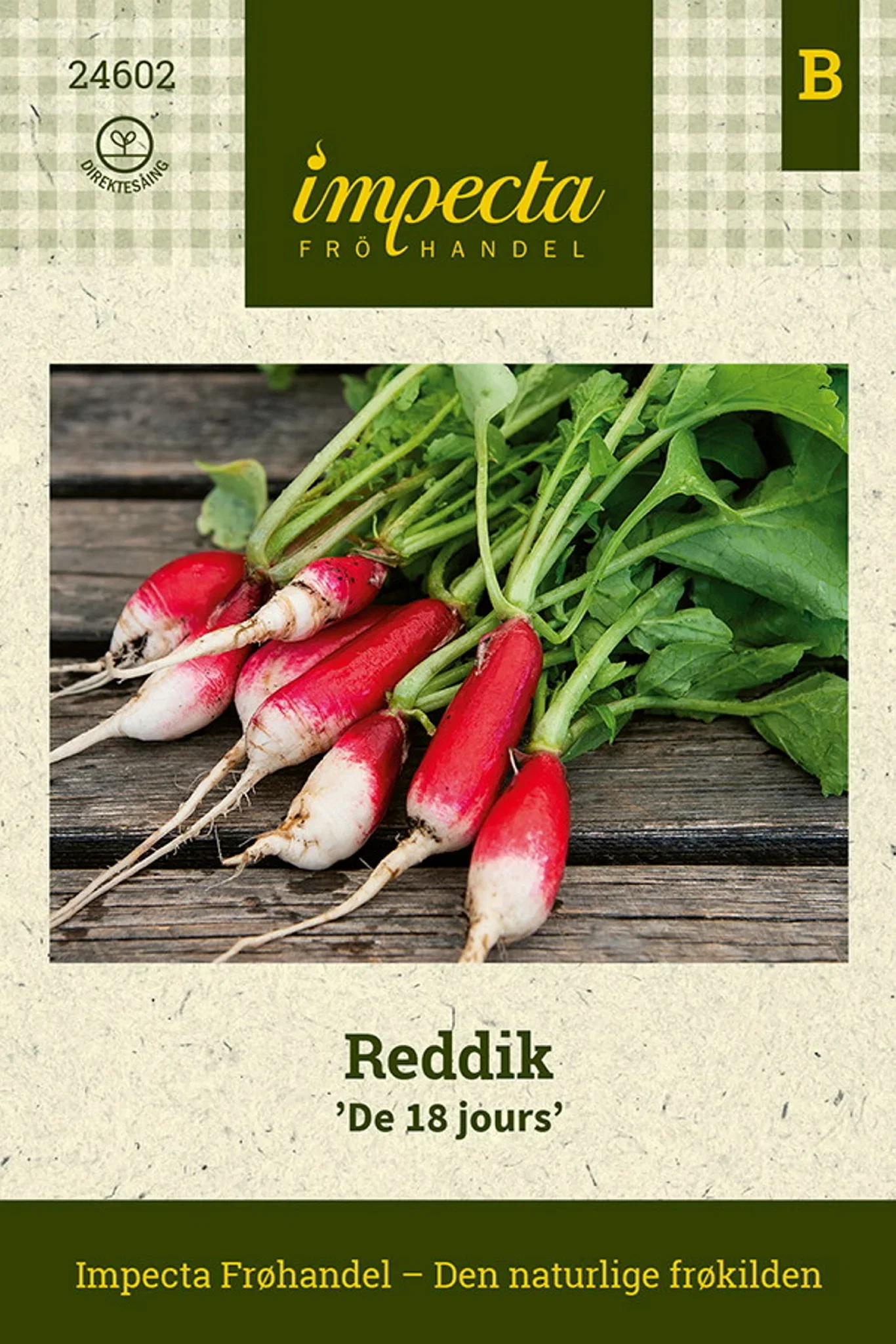 Raphanus sativus 'De 18 jours' Reddik 'De 18 jours'
