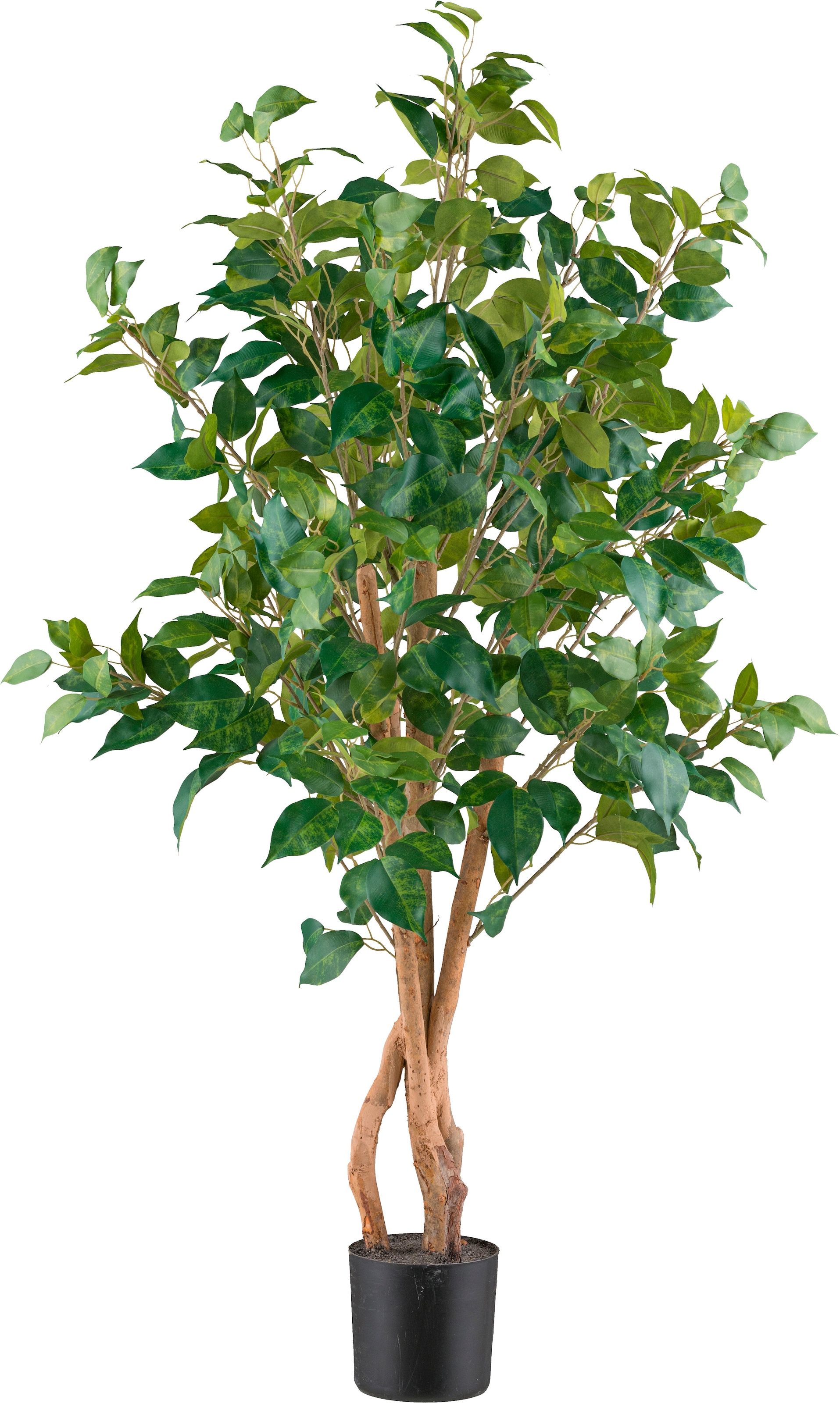 Creativ green Kunstpflanze »Ficus benjamina« mit sehr naturgetreu gestalteten Blättern