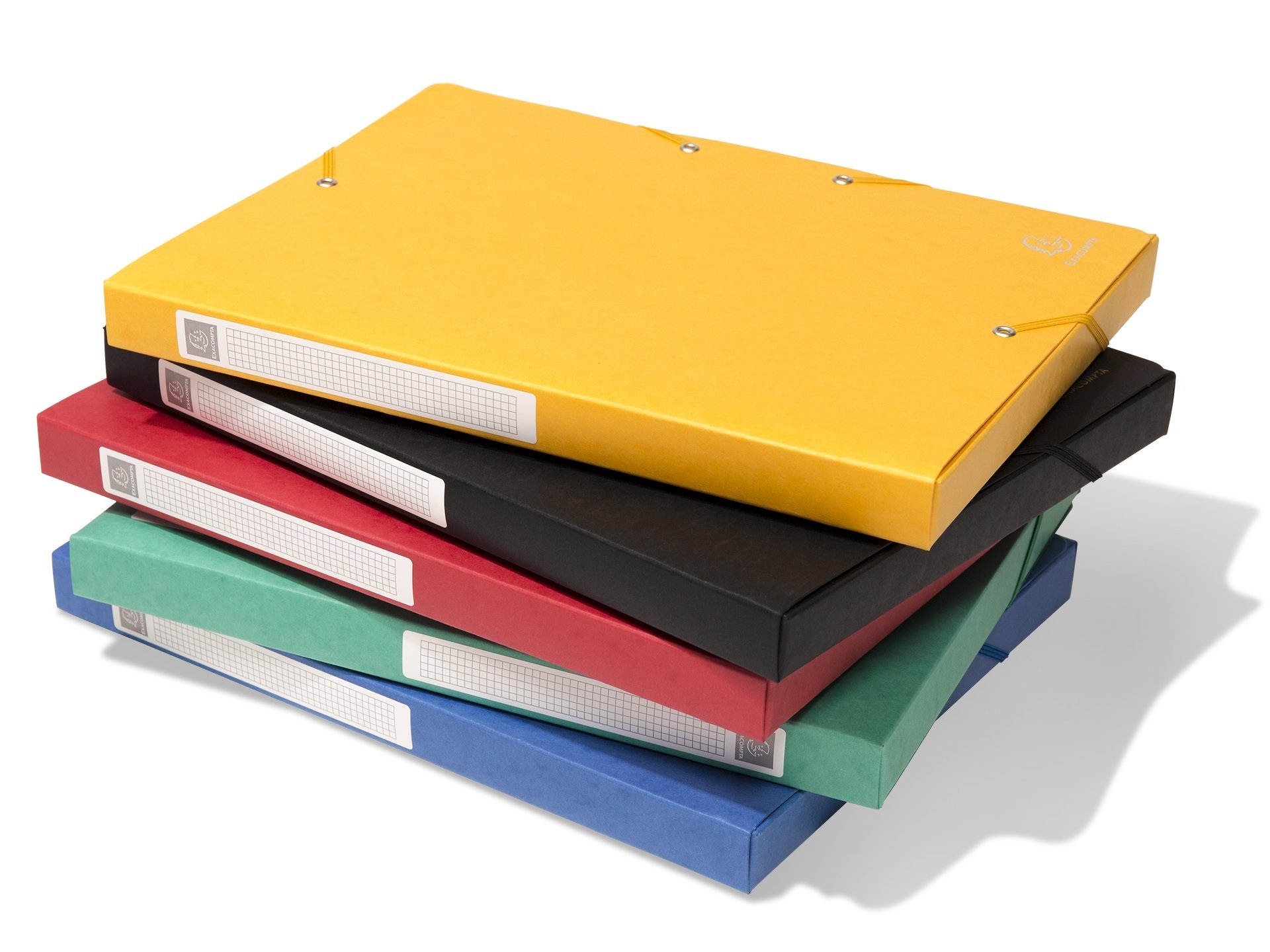 Exacompta Karton-Archivbox mit Gummizug