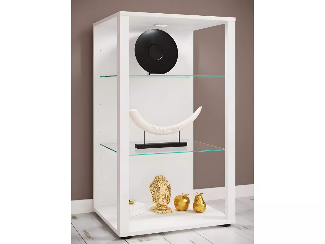 Bois Verre Vitrine Glasol XL