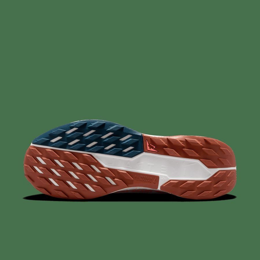 Nike Pegasus Trail 5 GORE-TEX