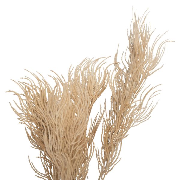 Present Time Arti Cial Tak Asparagus - Zand