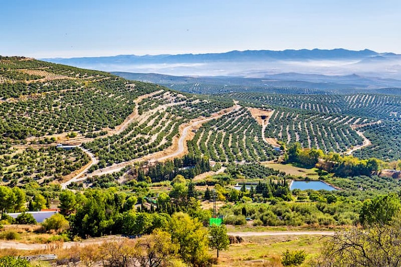 Karakteristiek Andalusië