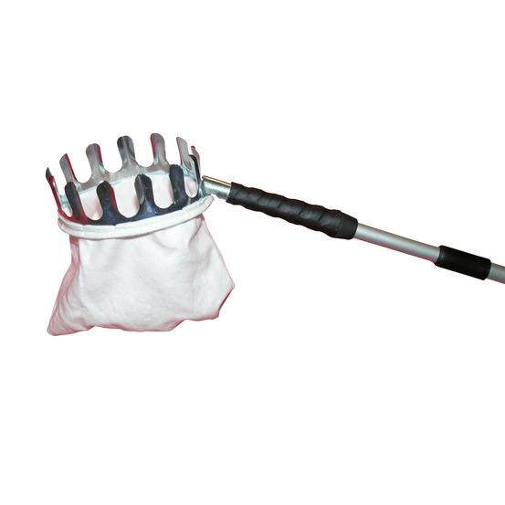 cueille fruits avec sac Manche télescopique