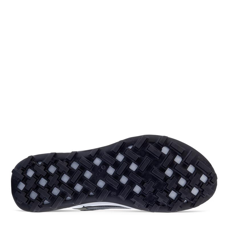 Ecco Biom 2.1 | NOIR (femme)