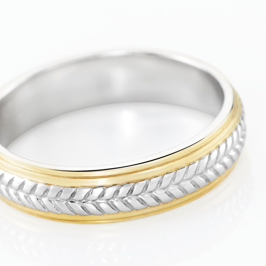 Alliance Izaak Argent Bicolore