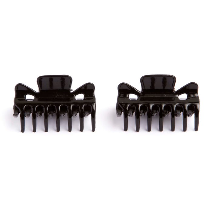Veritas-Set van 2 kleine haarspelden 4 cm