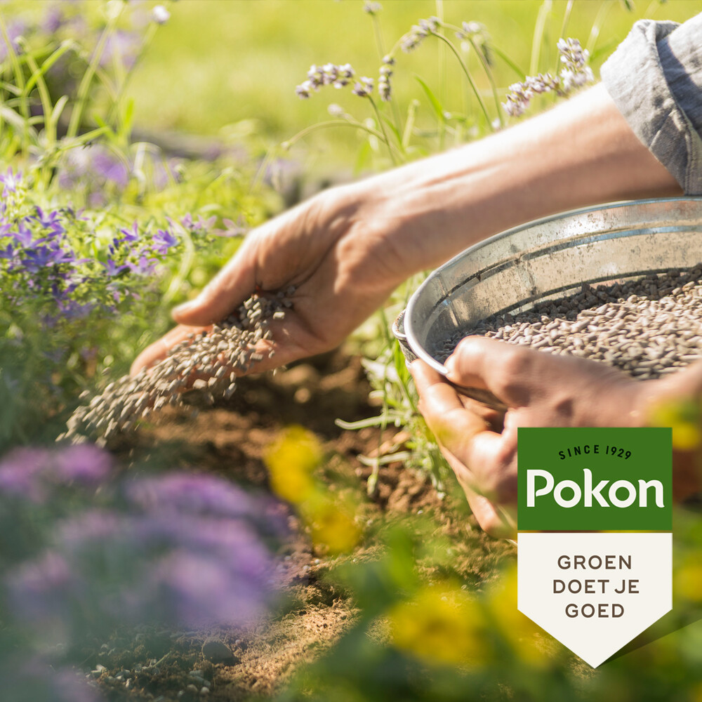 Pokon Tuinmest 1 kg