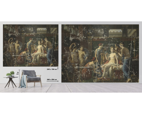 Vliesbehang HRBP000048 Joseph Paelinck Het toilet van Psyche 5-delige set 243 x 184 cm