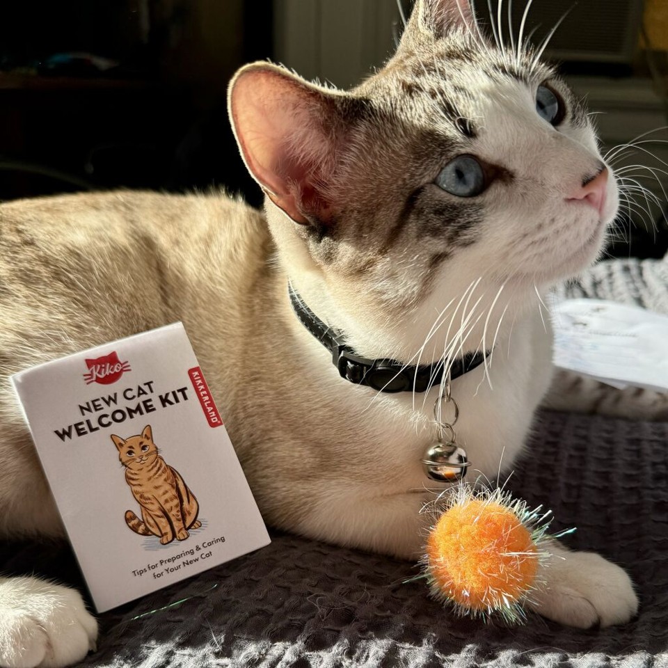Welcome Cat Tin