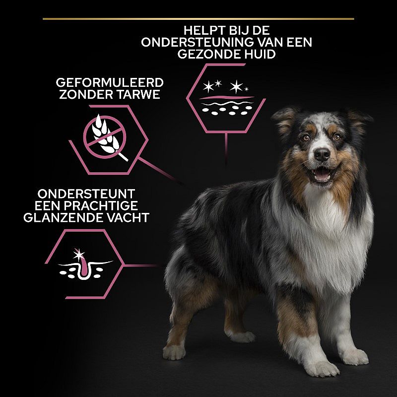 Purina Pro Plan Medium Adult Sensitive Skin Zalm Hondenvoer 14 kg | 12822