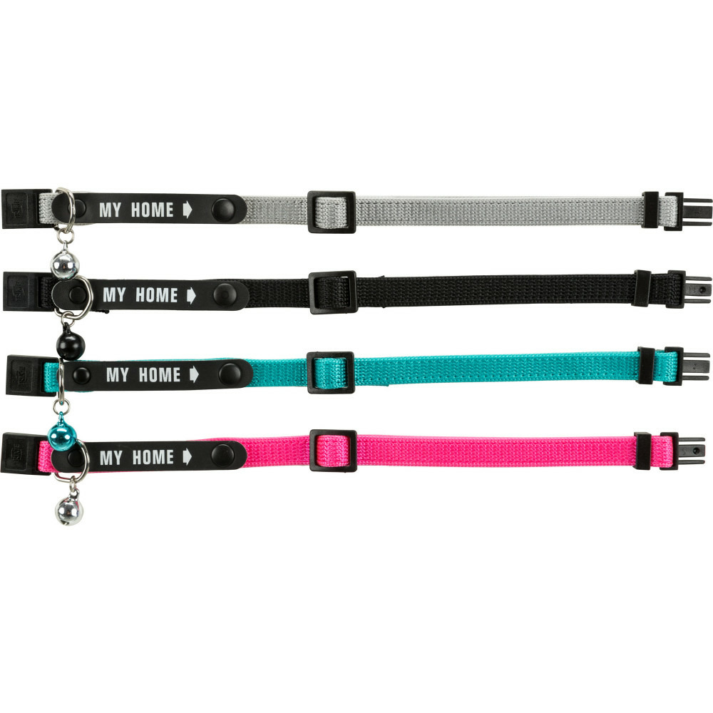 Un collier chat avec bande mon adresse couleur aléatoire