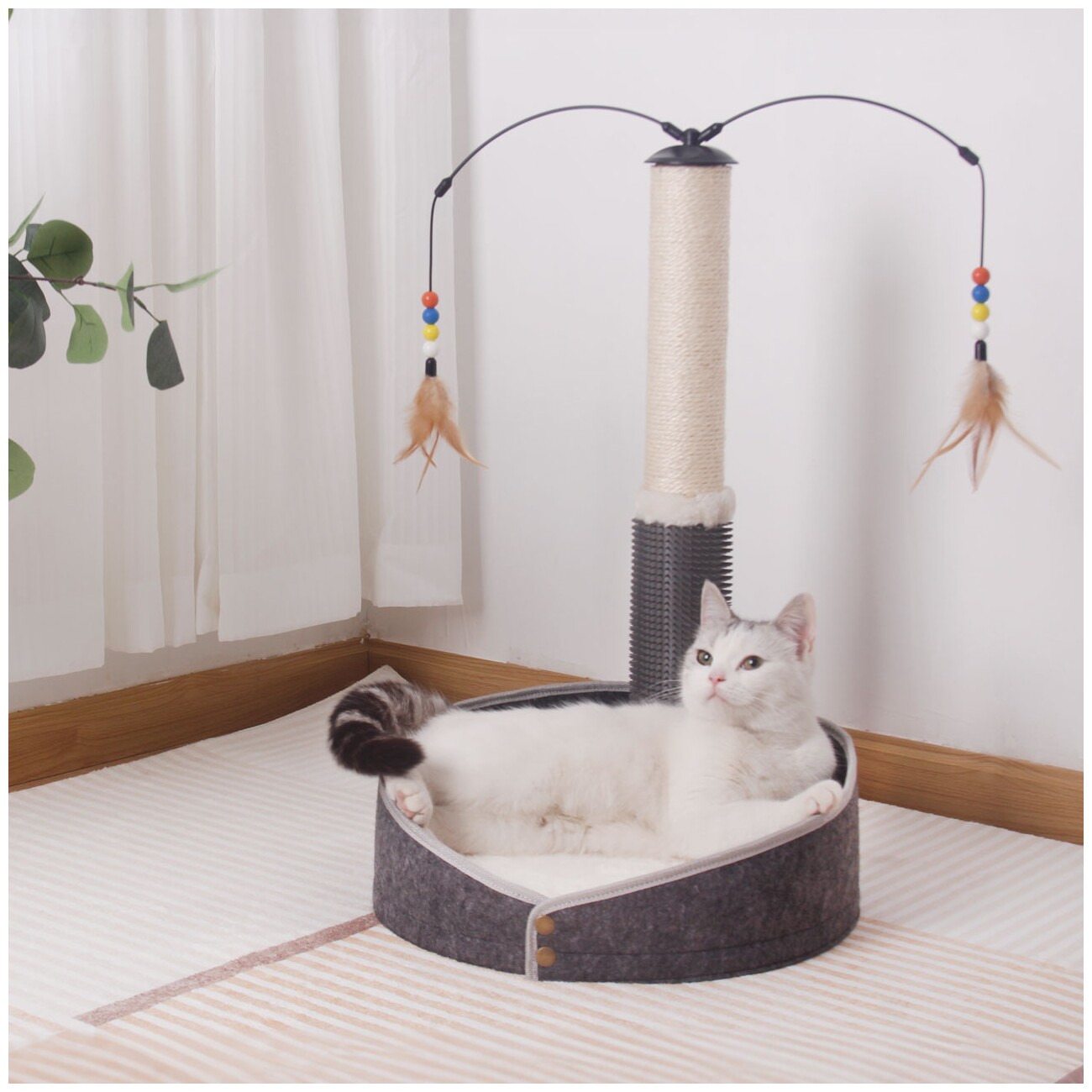 Canadian Cat Company Kratzstamm Bella