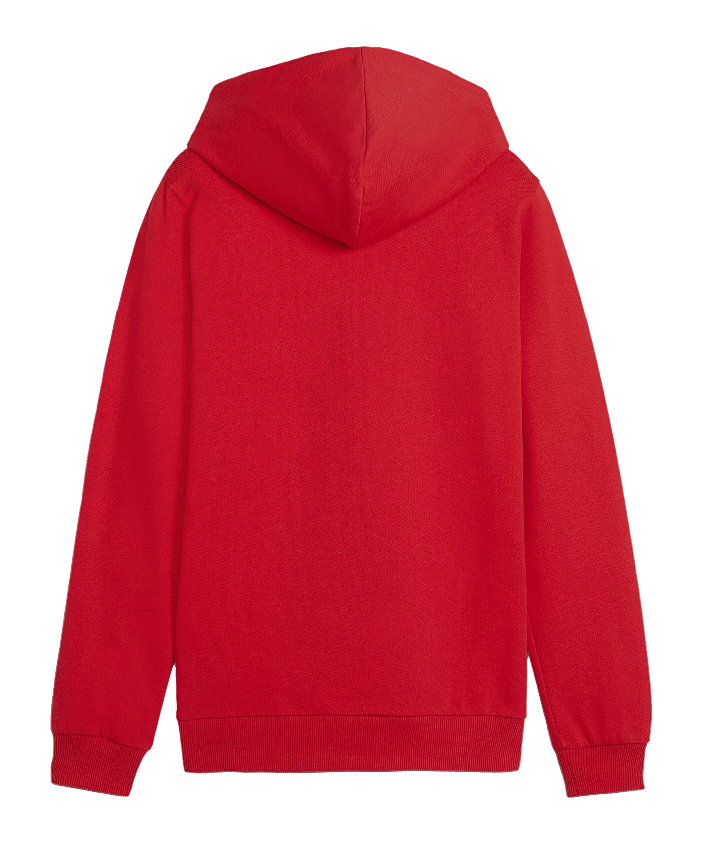 PUMA teamGOAL Casuals Hoody Kids Rot F01