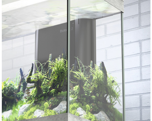 Aquatlantis Splendid 240 aquariumcombinatie inclusief LED-verlichting, filter en steenlookkast