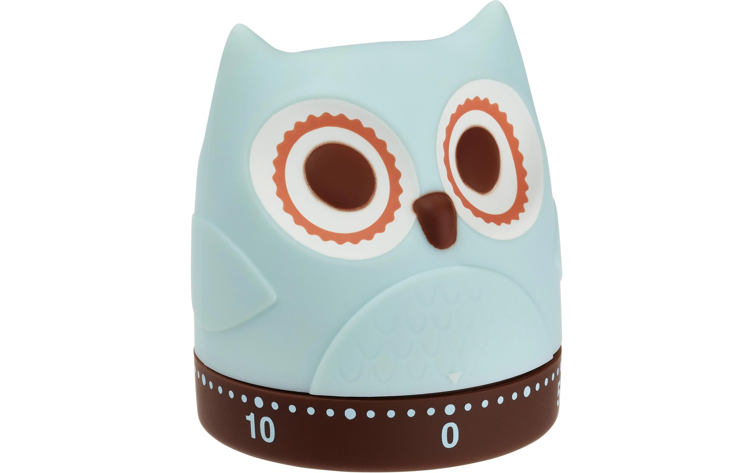Küchentimer Eule TürkisTimer für die Küche in Eule Design