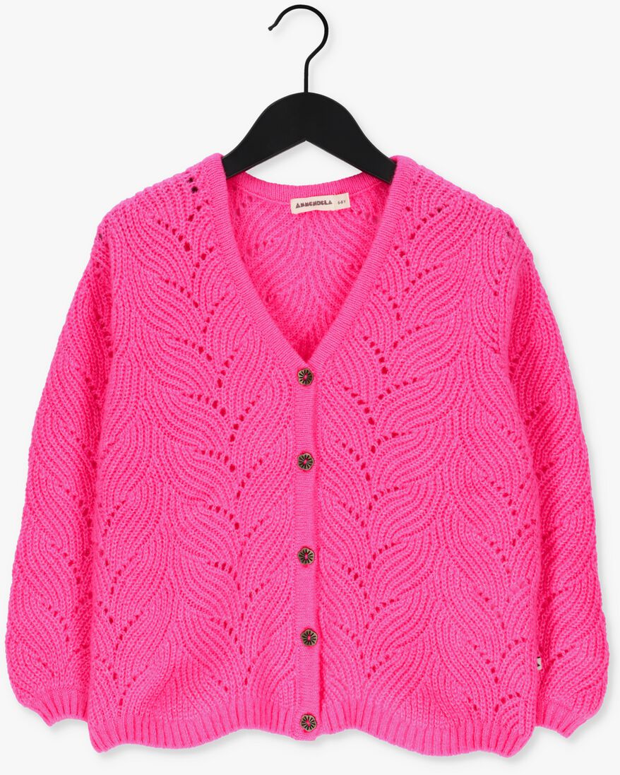 AMMEHOELA roze ammehoela vest am.ginny.02