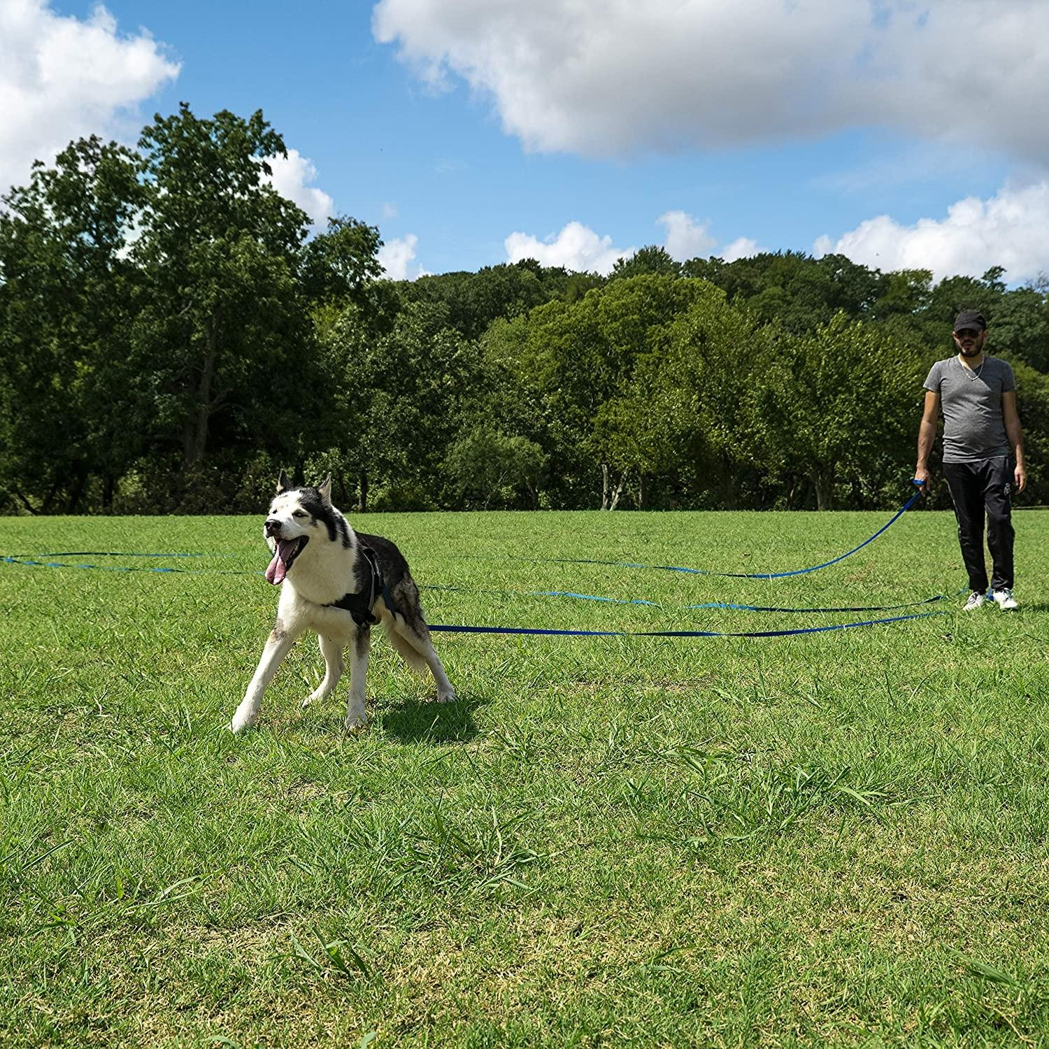 (15m) Extra Lange Hunde Leine Nylon Schleppleine mit Handschlaufe - Blau