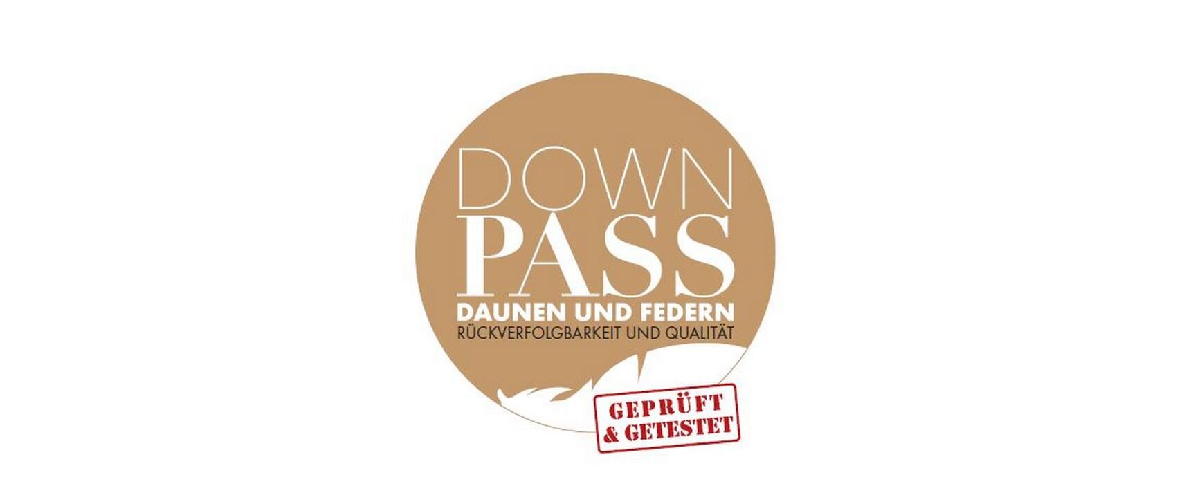 Kinder-Duvet Daunentraum 100 x 135 cm<br>Luftige und leichte Daunendecke für Babys