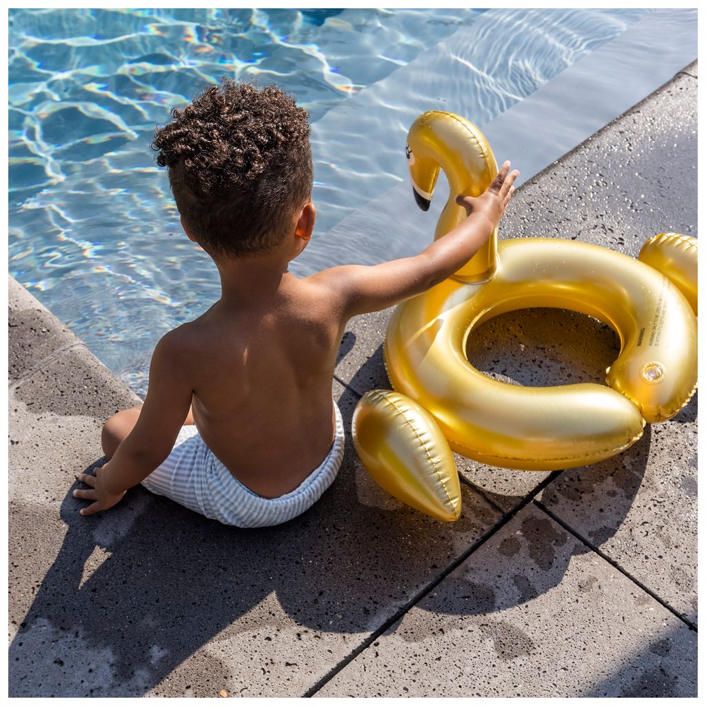 Swim EssentialsSwim Essentials   Schwimm Spaltring Schwan