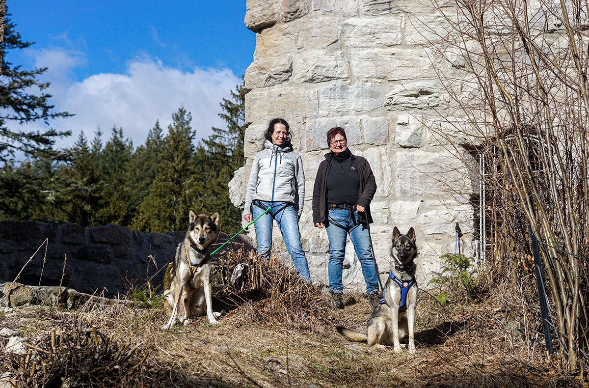 Husky Tagesausflug Bettmaringen
