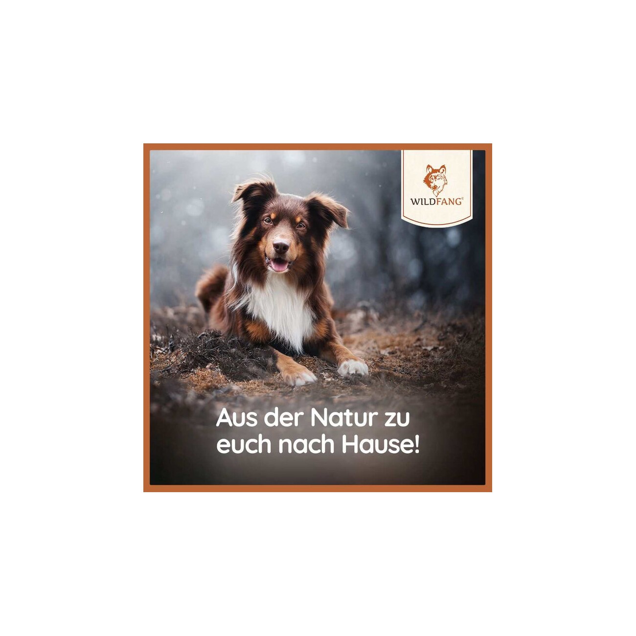 Wildfang ® Kauwurzel / Kauspielzeug Paket Hundebox - Kauspaß S