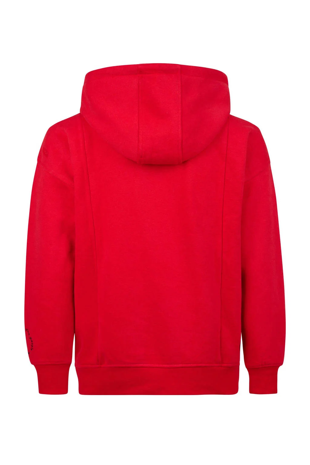 Blue Rebel hoodie Kenneth met printopdruk rood