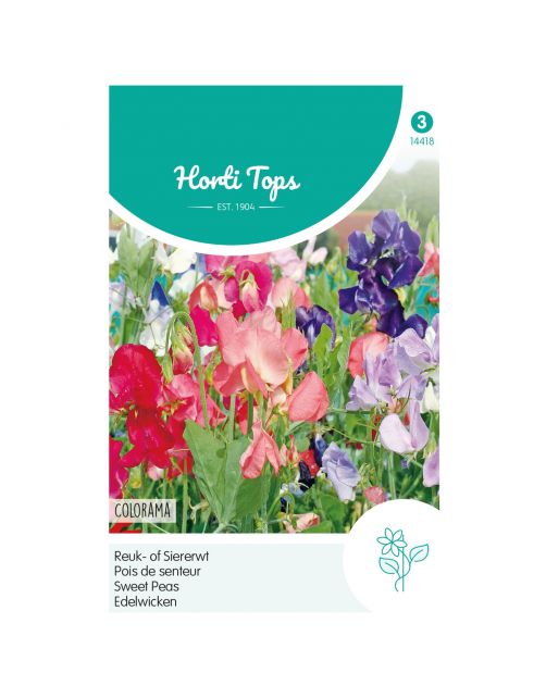 Hortitops Lathyrus - Reuk- Of Siererwt Colorama Gemengd - Bloemenzaden - 5 g