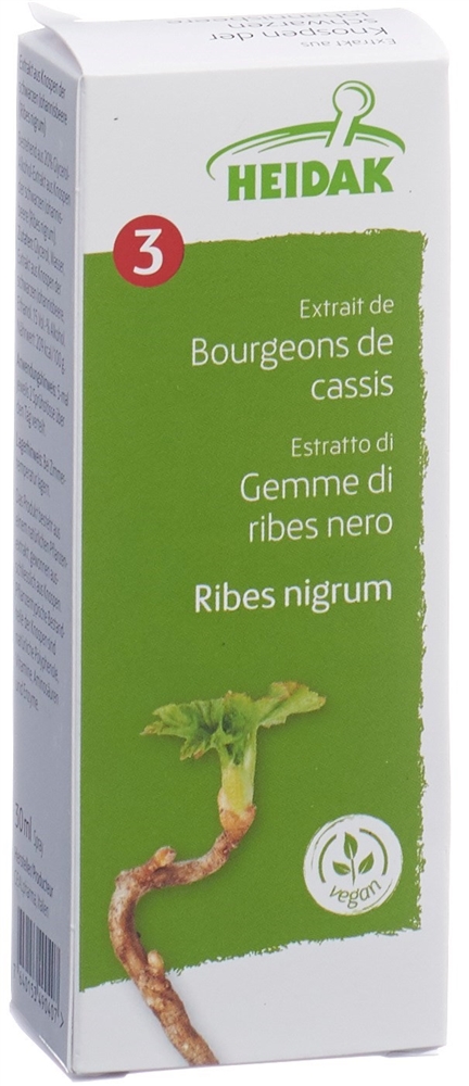 HEIDAK Knospe schwarze Johannisbeere Ribes nigrum Glyc Maz Fl 30 ml