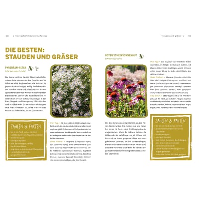 Garten ohne Gießen