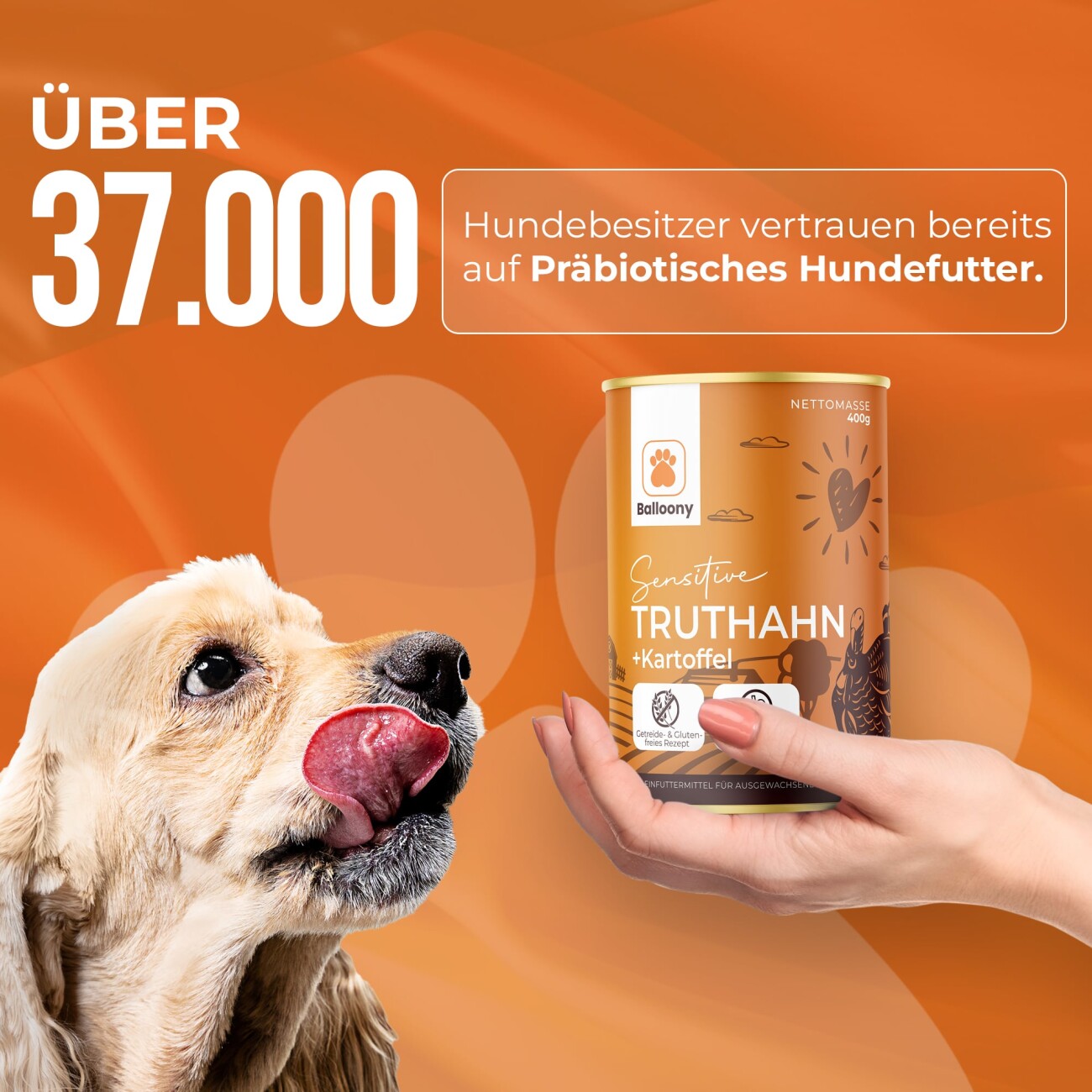 Balloony.pet German Shephy Nassfutter Truthahn 200 g