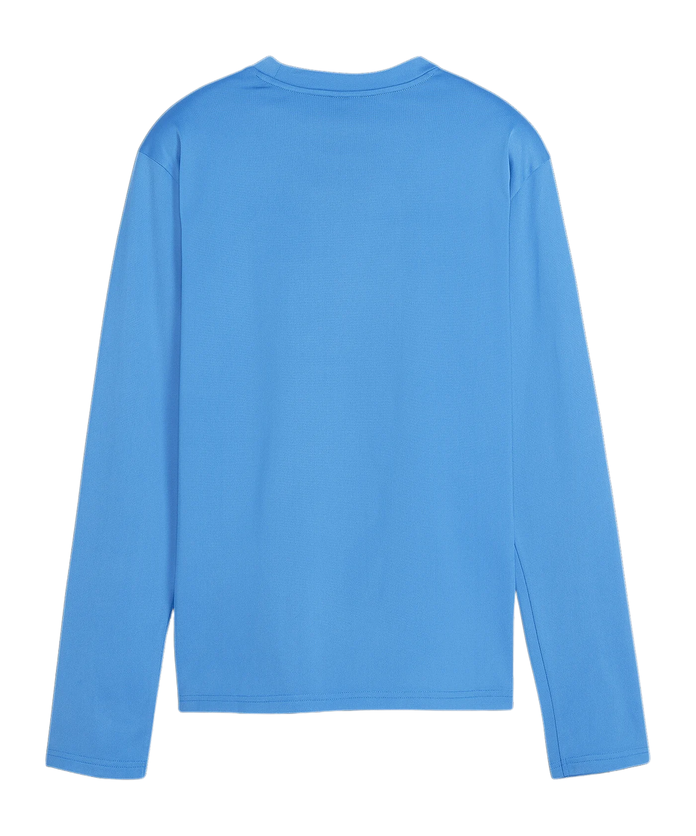 PUMA teamGOAL Training Sweatshirt Damen Blau F01