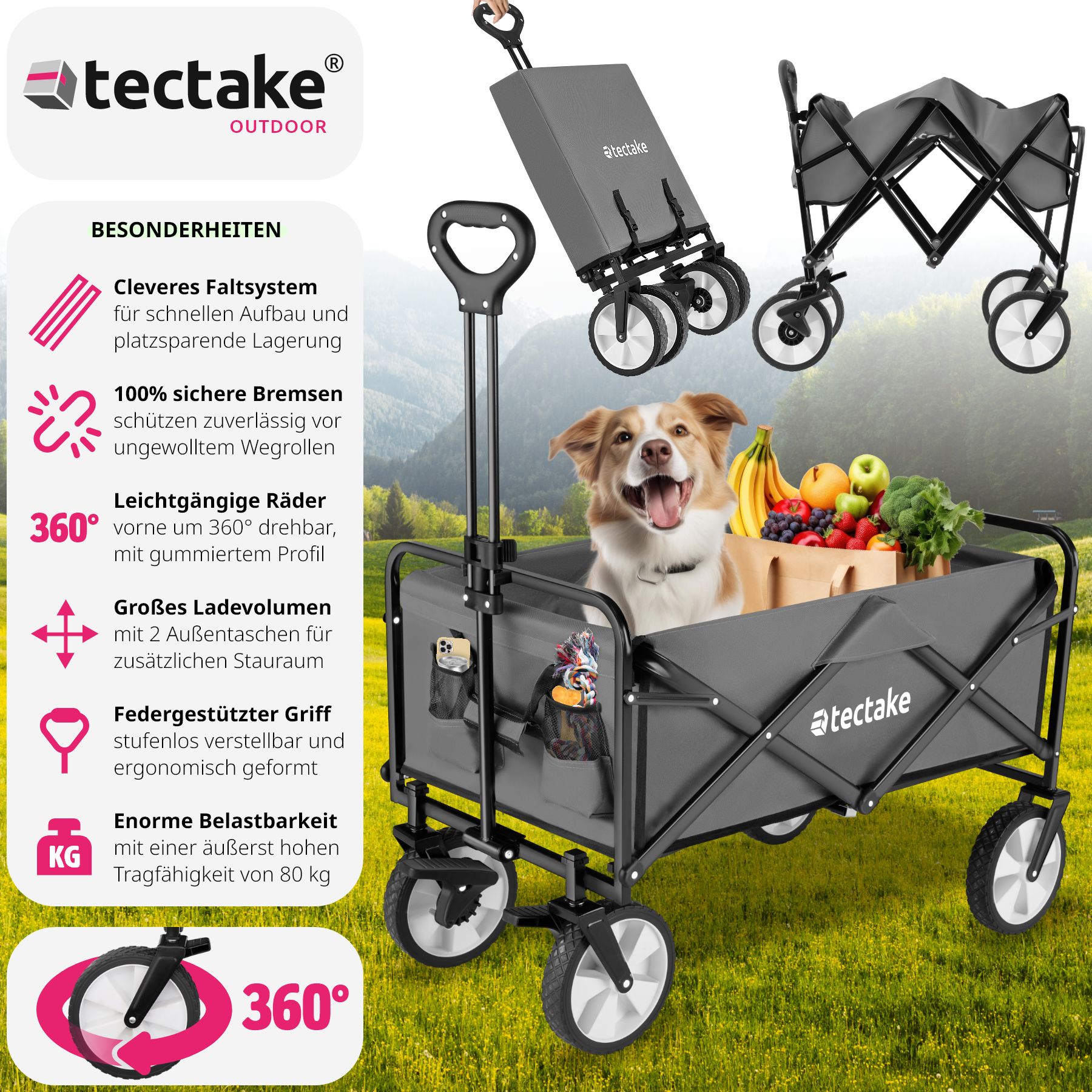 tectake® Bollerwagen, faltbar, abnehmbarer Stoffeinsatz mit 2 Netztaschen, inklusive Tragetasche, Belastbarkeit 80 kg
