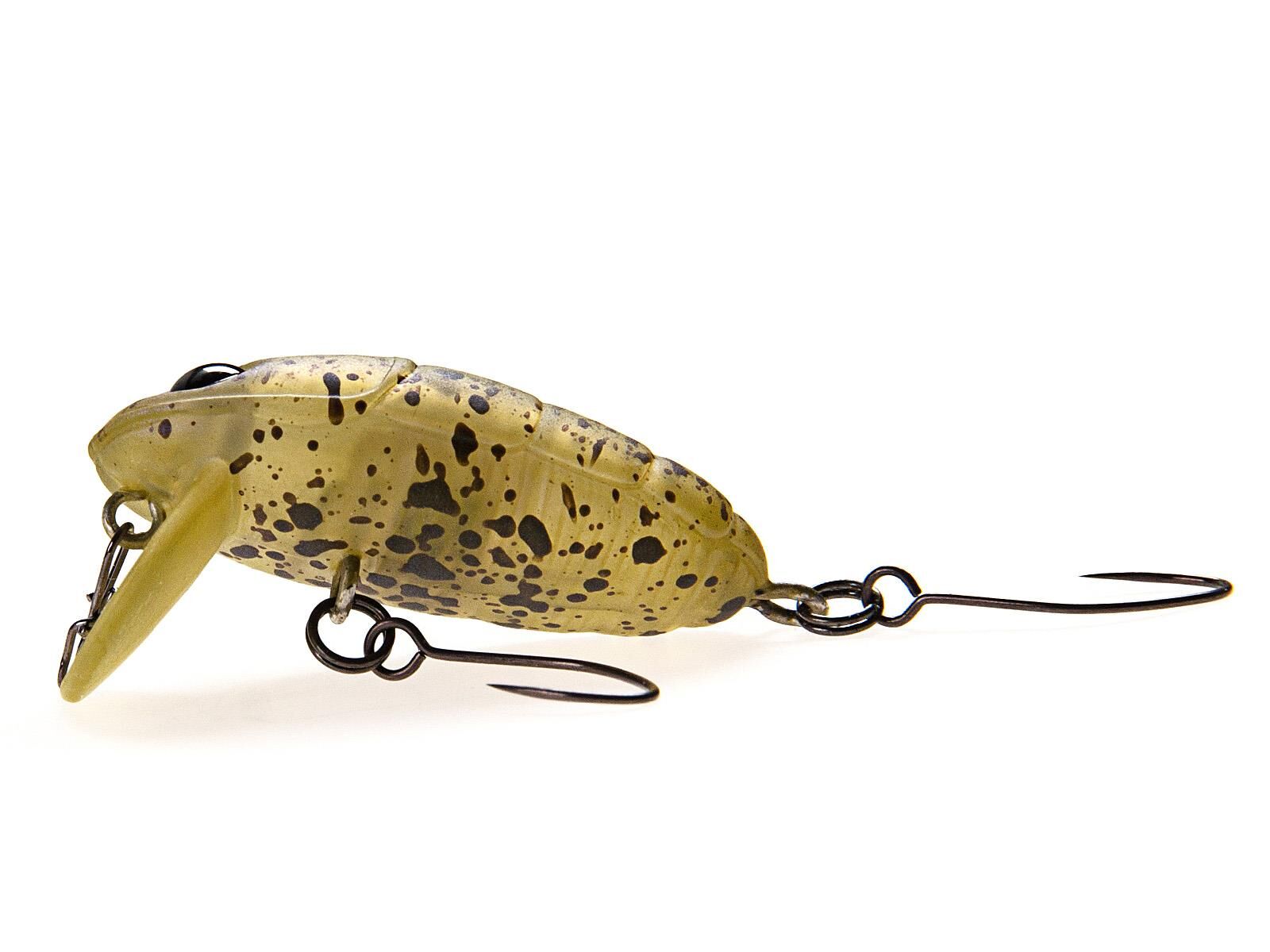 Crankin Pupa Shallow (Nories)