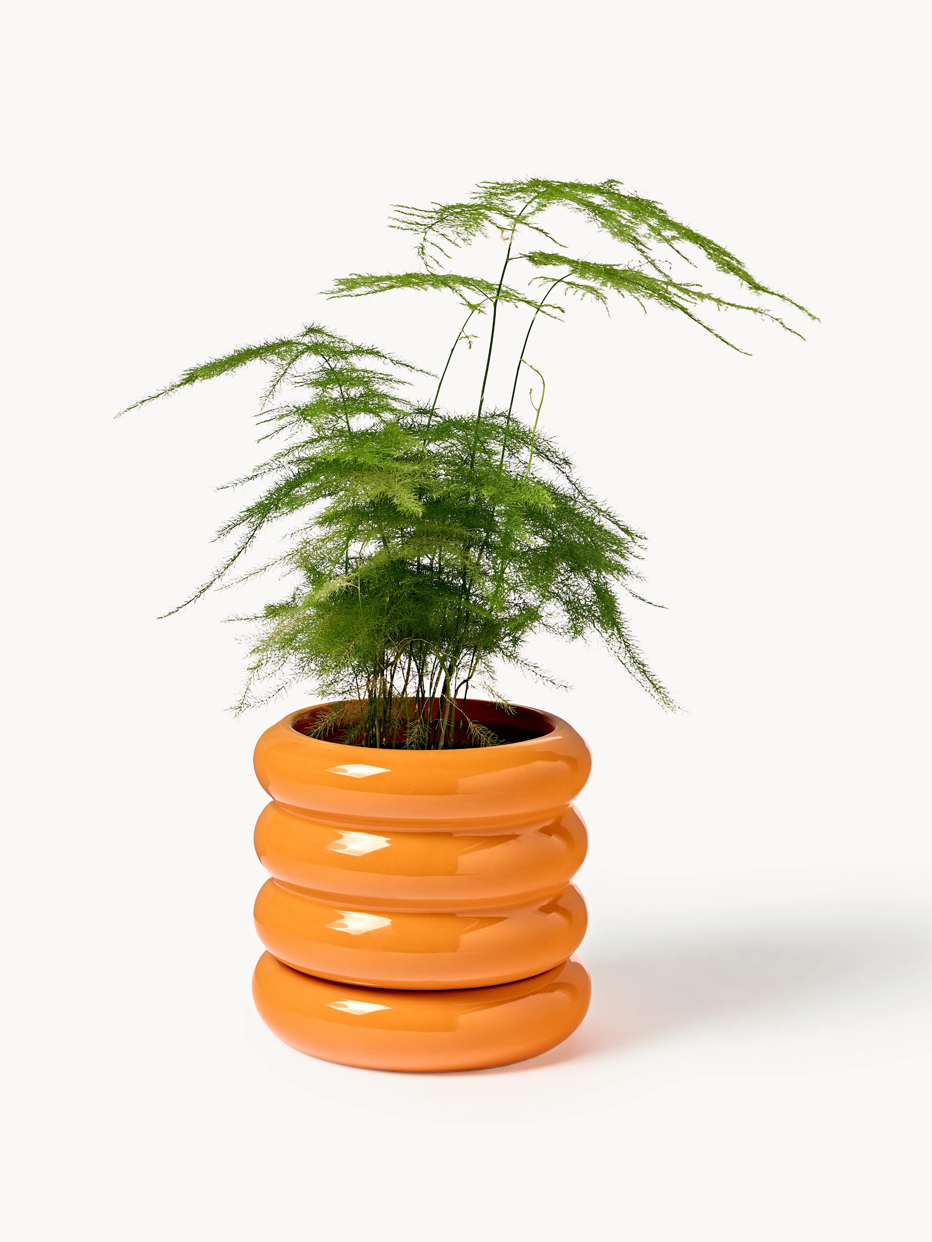 Bloempot Rudi met schotel, H 12 cm