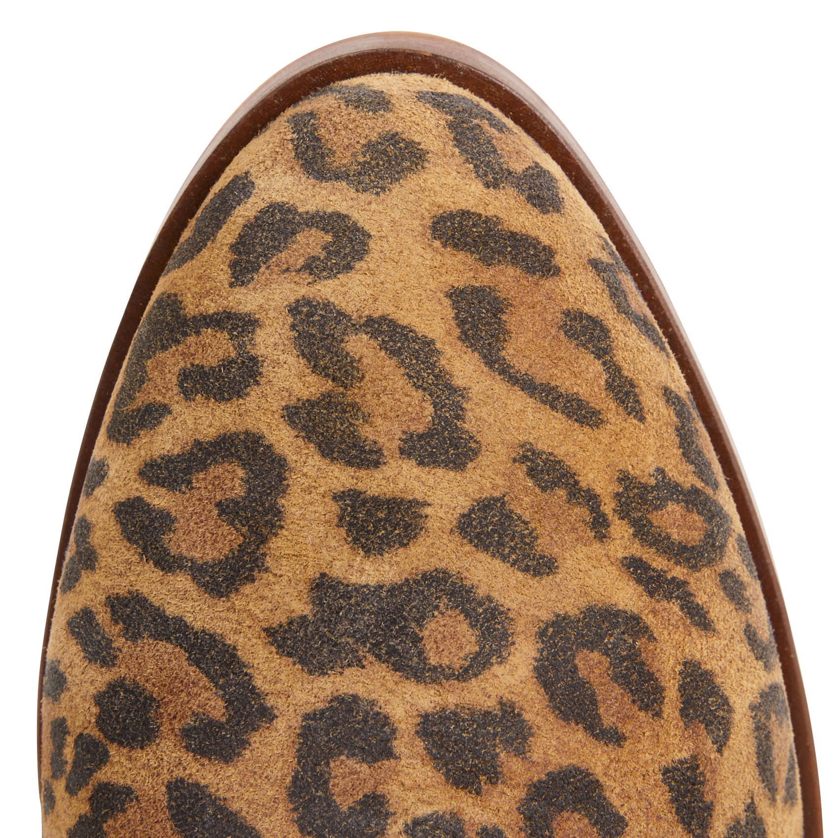 HADA - Bottines en cuir | Multicolore