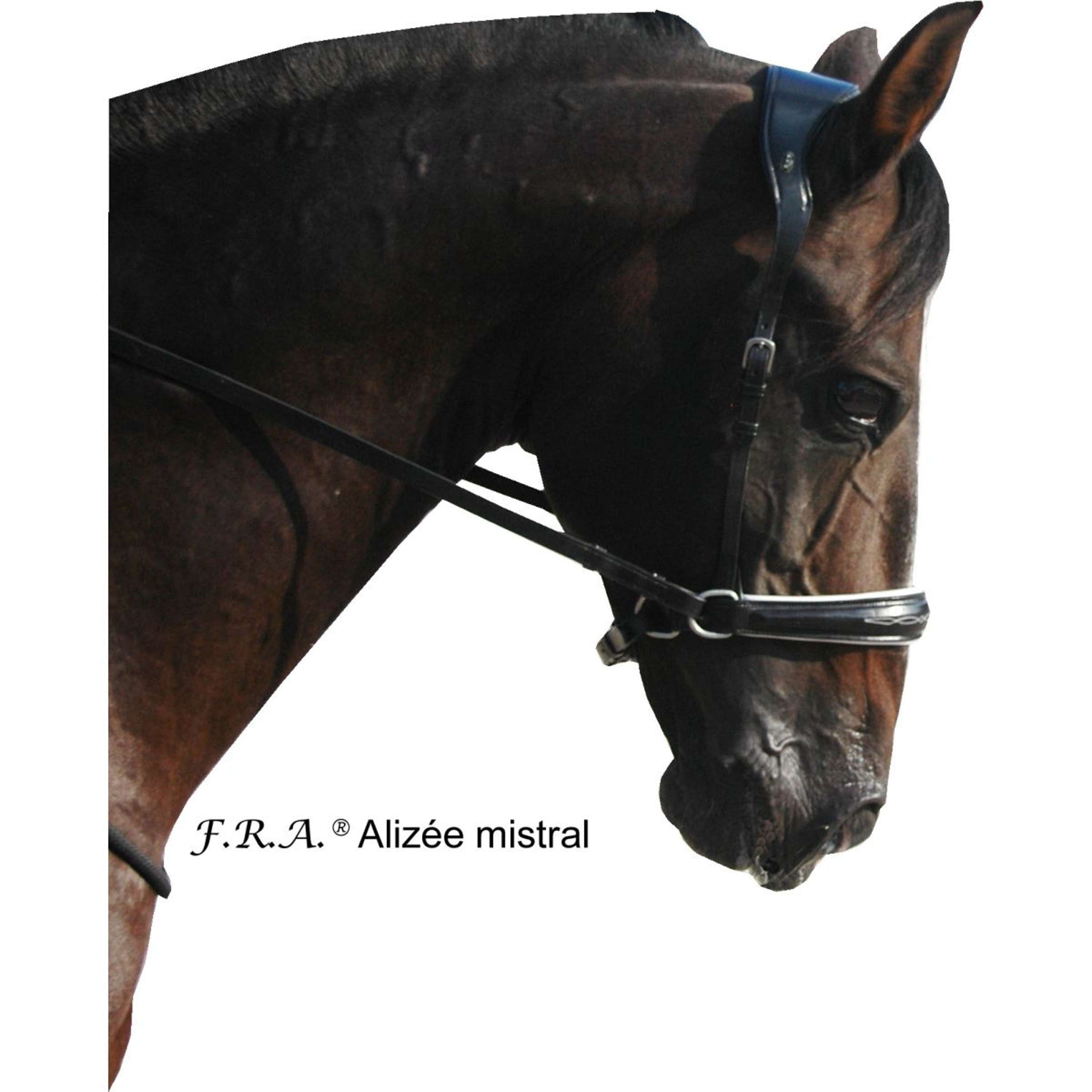 F.R.A. Bitloos Hoofdstel Alizée Mistral Side Pull Rubber Gripteugels Z