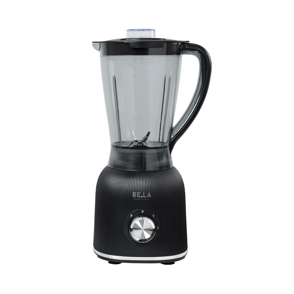 BergerLanz FSP Standmixer