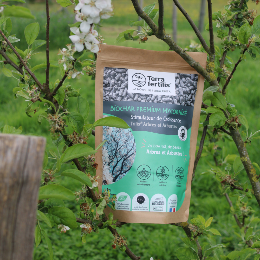 Fertilisant arbres et arbustes à base de mycorhizes - 500 g