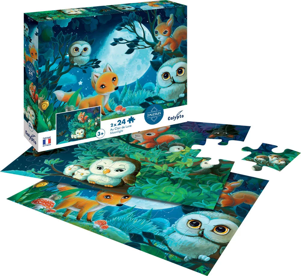 PUZZLE AU CLAIR DE LUNE 24 PIECES X2
