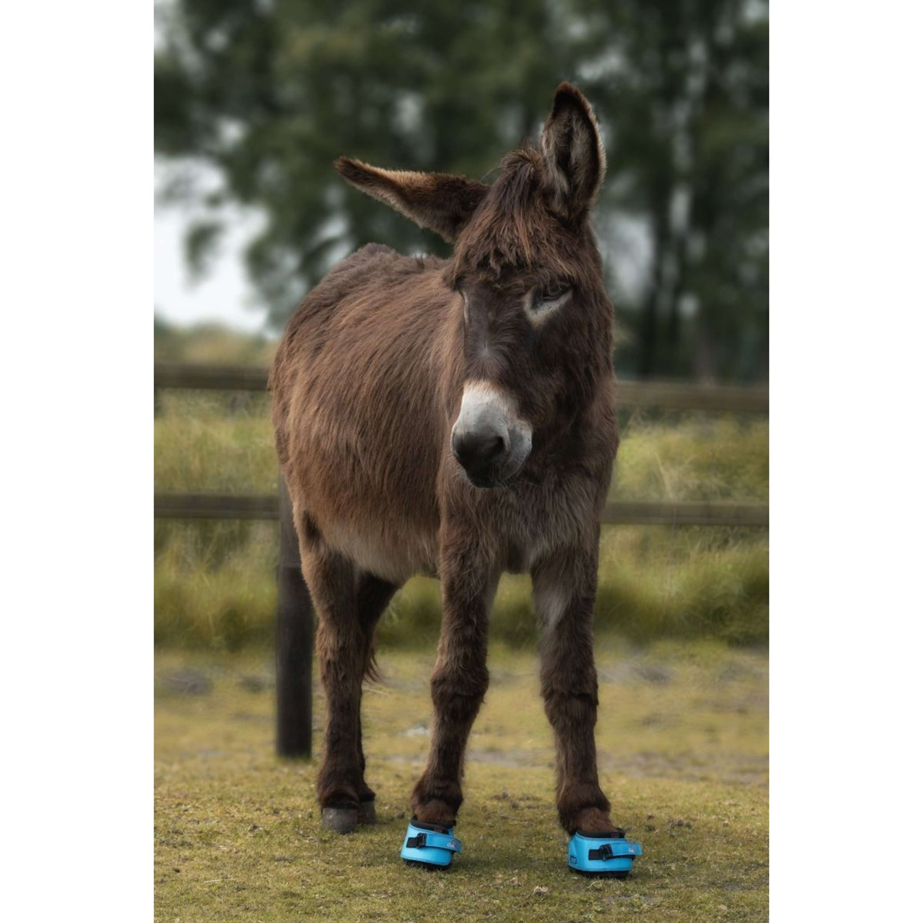 F.R.A. Cavallo Horse & Rider Hoefschoen Ezel/LED Turquoise