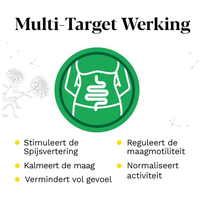 Iberogast Druppels Bij Prikkelbare Maag- En Darmklachten 50 ML