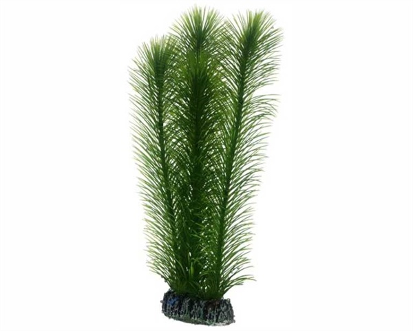 Hobby Plant Mayaca 25cm